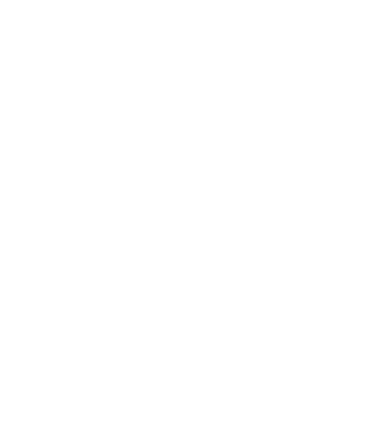 More Than Health